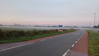 Witte wieve