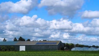 WOLKEN 