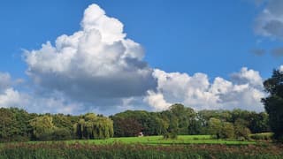 meer opbollende wolken tegen blauwe lucht