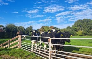 zonnig en zacht