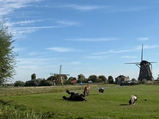 Blauw paard jeuk of voorjaar