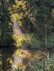 Zonnestralen 
