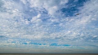 SCHAPENWOLKJES BOVEN ZEE