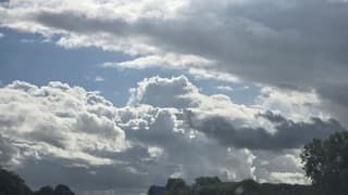 Zonneschijn 
