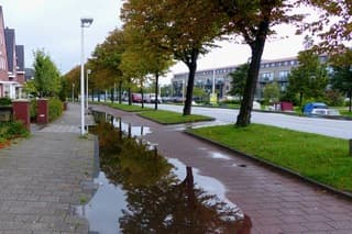 Reflectie kleurende bomen in grote plassen