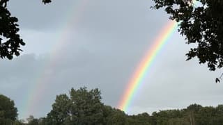 Regenbogen 