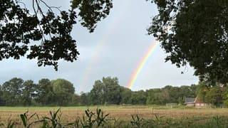 Regenbogen 