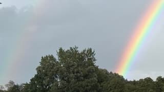 Regenbogen 