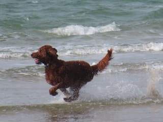 Zon en wind 