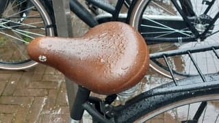 Plensbuien 