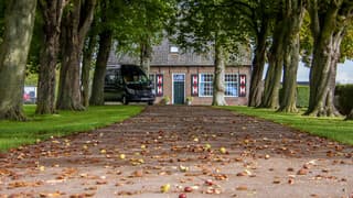 De kastanjes wijzen de weg