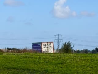 Kerstbomen te koop