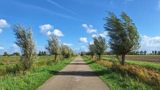 Stevige wind