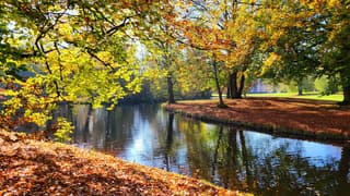 Herfstkleuren in het park en even een glimp van de zon...