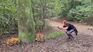 Paddenstoelen fotograferen zonder jas