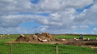 Wolken, wind en zon op Texel 