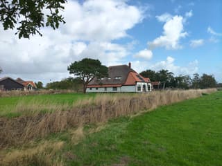 Texelse boerderij 