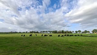 Normale temperatuur vandaag voor de tijd van het jaar