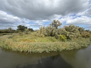Boottocht biesbosch