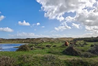 Veel wind, maar ook veel zon 