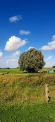 Wind zon van alles wat 
