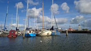 Meeuw dobbert in het water, stapelwolken boven de zeilschepen in de haven