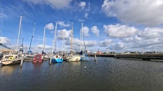 Meeuw dobbert in het water, stapelwolken boven de zeilschepen in de haven