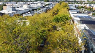 Herfst in de straat 