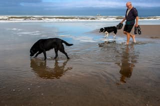 WANDELEN DOOR DE MIJ