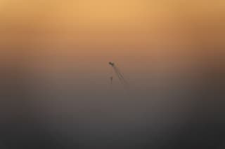Mist