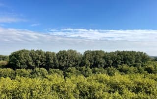 Blauw en wolken