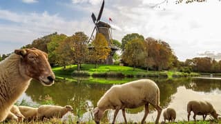 Zonnig, rustig weer, spiegelglad water, herfstkleuren