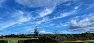 Veel sluierwolken 