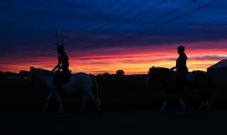 Silhouetten in de laatste kleuren van de dag.