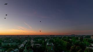 Ochtendgloren boven Maastricht