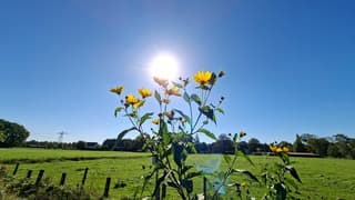 Stralend zonnig weer vandaag, geen wolkje aan de lucht