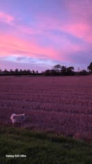 Zonsondergang