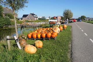 Pompoenen en kalebassen 