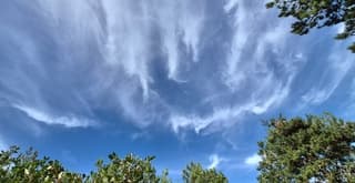 Windveren 