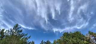 Windveren 