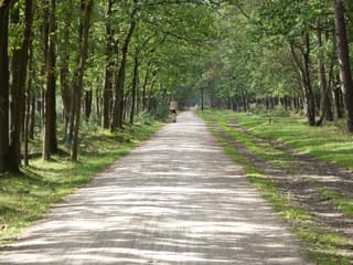 Mooi herfstweer.