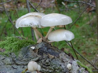 Mooi herfstweer.