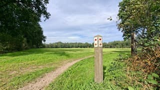 Perfect weer vandaag om te gaan wandelen (of fietsen) in de natuur