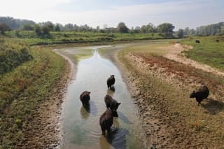Droogte 