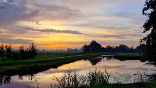 Goedemorgen 