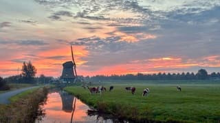 Zonsopkomst