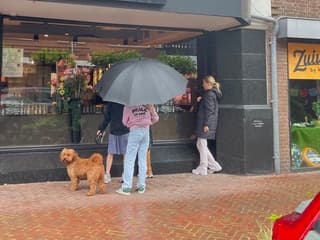 Paraplu nodig 