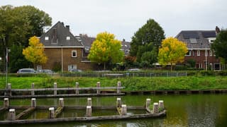 Grijsbewolkt 