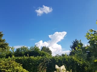 Loosdrecht