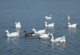 Heerlijke zonnige zondag.